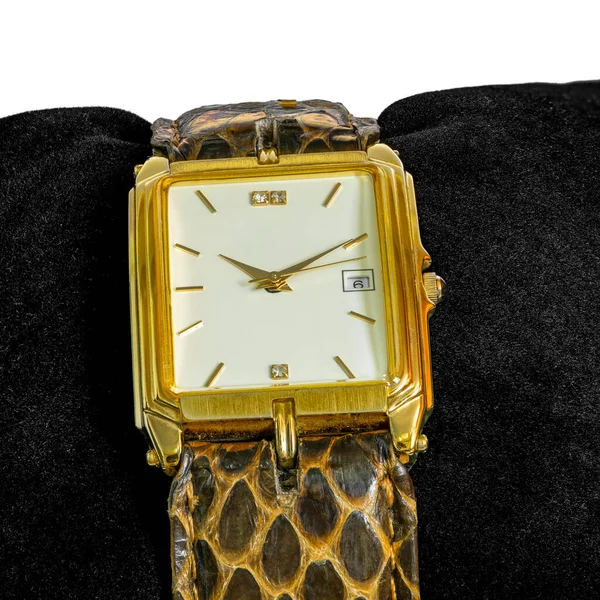 Golden Men Wristwatch Black Background Classic Wristwatch Man Brown Snake —  Fotos de Stock