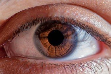 Extreme macro shot of human brown eye. Free space for text, perfect background for medical, science and ophthalmology theme