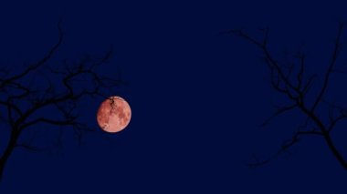 Time lapse of eerie bloody flickering moon moving through ominous dead trees branches. Halloween theme, horror scene, terrible night forest with scary sounds
