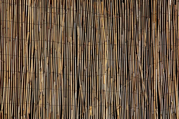 Old reed wall background texture close-up, bamboo curtain, natural pattern, abstract background. Empty space, for text or logo
