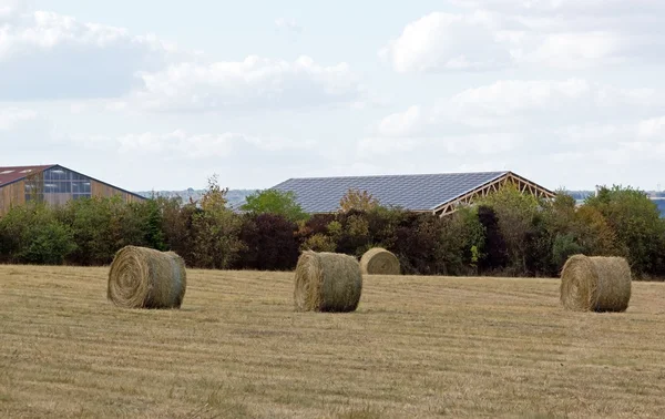 Straw in a field, at the end of the summer — Stock Photo, Image