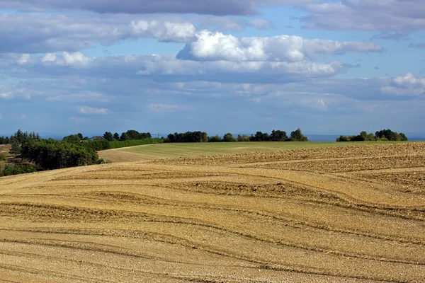 Kampány a Burgundia (Franciaország), a nyár végén — Stock Fotó