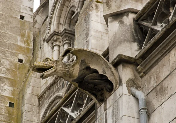 Gargoyle kilise saint eusebe 12, 13 inci yüzyıl auxerre bourgogne, Fransa — Stok fotoğraf