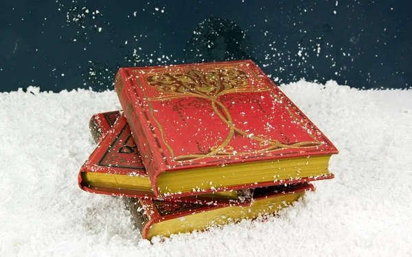 Enkele prachtige oude boeken (19 eeuw) voor Kerstmis — Stockfoto