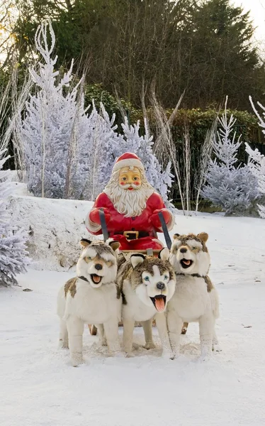 サンタ クロース、サンタ クロースそり、犬の頭のハスキー犬します。 — ストック写真