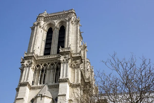 Notre-dame-de-paris Paryż Francja — Zdjęcie stockowe