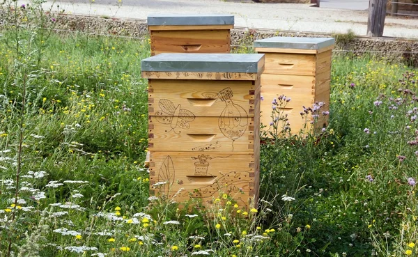 Hives in town, in the middle of a clam — Stok fotoğraf