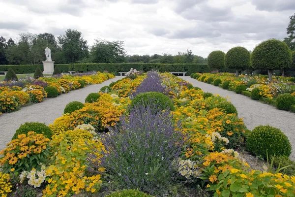 Formell trädgård, lavendel i perspektiv (Frankrike) — Stockfoto