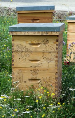 kurdeşen şehrin ortasında çiçek