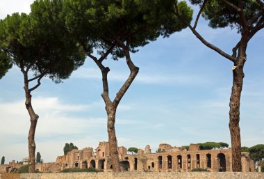 Harabeleri palatine Tepesi'nin arkasında bir çit, Roma, İtalya