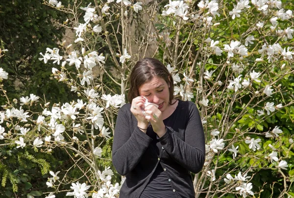 Fiebre del heno, rinitis alérgica, al comienzo de la primavera — Foto de Stock