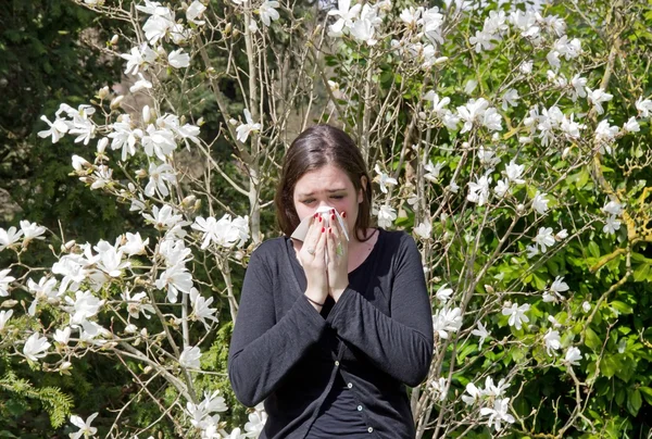 Febbre da fieno, rinite allergica, all'inizio della primavera Immagine Stock