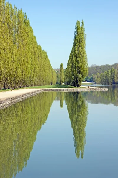 Reflexionen von Pappeln, geometrische Struktur (Frankreich) — Stockfoto