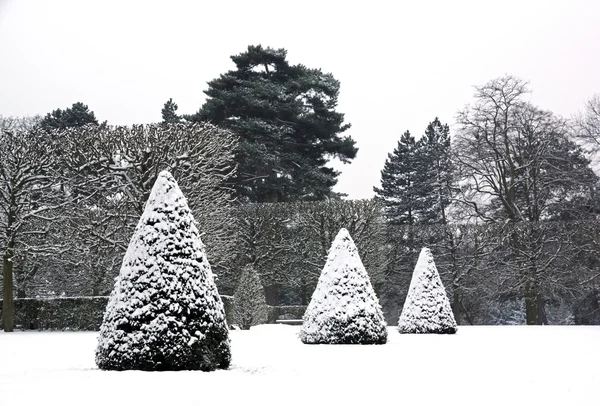 Ignomes coupés en cône recouvert de neige, un parc en hiver (France ) — Photo