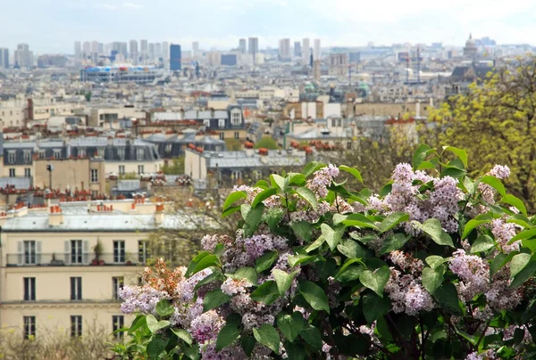 Bush van lila in de regen, Parijs aan de horizon (Frankrijk) — Stockfoto