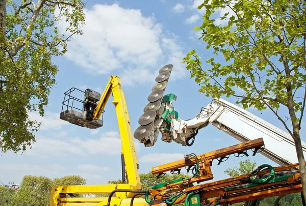 Ağaçlar ve motor yeri, kent Bahçe için ekipman kesim makinesi — Stok fotoğraf