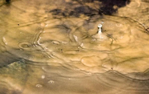 El charco, la gotita, la vía del dibujo la acuarela —  Fotos de Stock