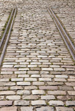 Raylar... bir yaprakları için... Birden çok belirsiz bir gelecek!