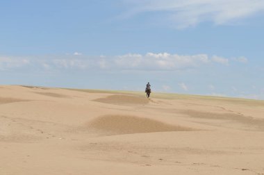 Çobanlar Kazakistan 'ın Almaty bölgesindeki Ili Nehri yakınlarında sığır otlatırlar. 06.13.2007.