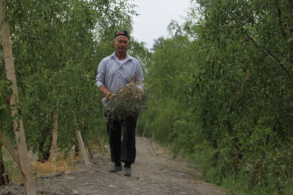 Urumqi Anteriormente Conocida Como Dihua Capital Región Autónoma Xinjiang Uygur — Foto de Stock