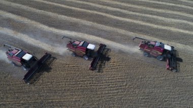 Combine harvesters harvest bread in the Karaganda region in Kazakhstan