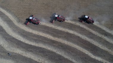Combine harvesters harvest bread in the Karaganda region in Kazakhstan