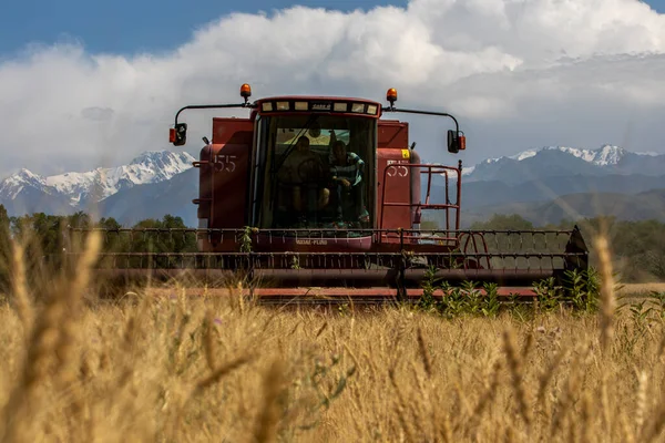 Harvesting Bread Combine Harvester Almaty Region Kazakhstan — Φωτογραφία Αρχείου