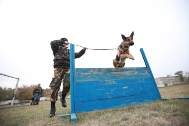 Customs cynological service works out with dogs on polygon action. October 29. 2010.