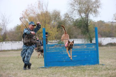 Customs cynological service works out with dogs on polygon action. October 29. 2010.