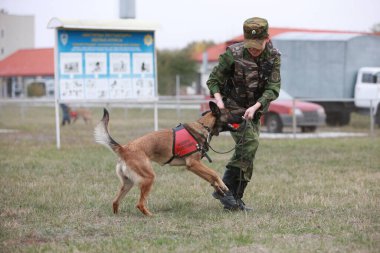 Customs cynological service works out with dogs on polygon action. October 29. 2010.