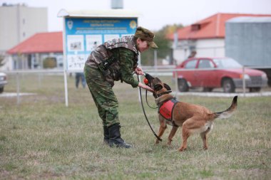 Customs cynological service works out with dogs on polygon action. October 29. 2010.