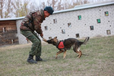 Customs cynological service works out with dogs on polygon action. October 29. 2010.