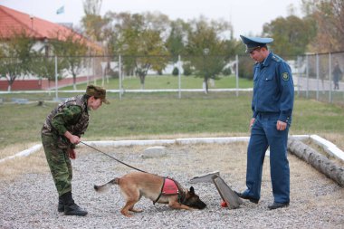 Customs cynological service works out with dogs on polygon action. October 29. 2010.