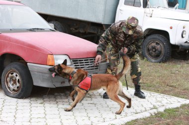 Customs cynological service works out with dogs on polygon action. October 29. 2010.