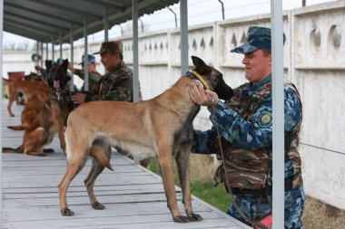 Customs cynological service works out with dogs on polygon action. October 29. 2010.