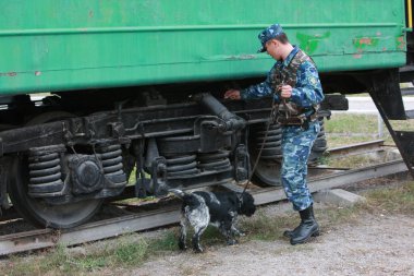 Customs cynological service works out with dogs on polygon action. October 29. 2010.