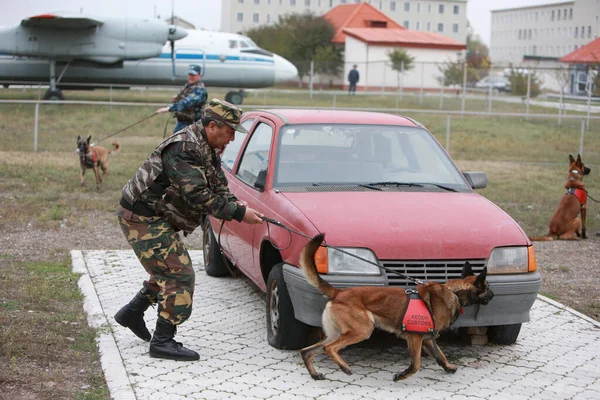 Customs Cynological Service Works Out Dogs Polygon Action October 2010 — Stockfoto