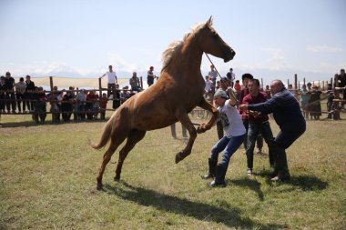Festival of national games in the city of Almaty. Kazakhstan 07.06.2019.