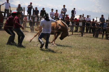 Festival of national games in the city of Almaty. Kazakhstan 07.06.2019.
