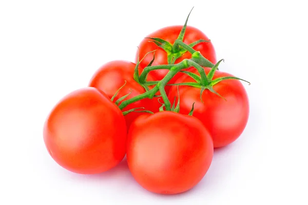 Fresh tomatoes on the vine — Stock Photo, Image