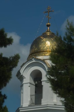 Ortodoks Kilisesi 'nin yaldızlı kubbesi mavi gökyüzüne karşı ağaçların dalları arasında güneş ışığıyla doludur.
