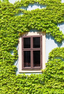 Eski pencere asma, bamberg tarafından çerçeveli