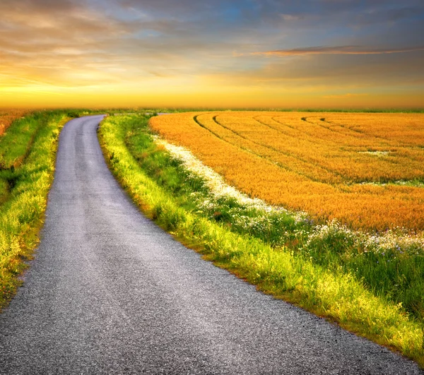 Country road — Stock Photo, Image