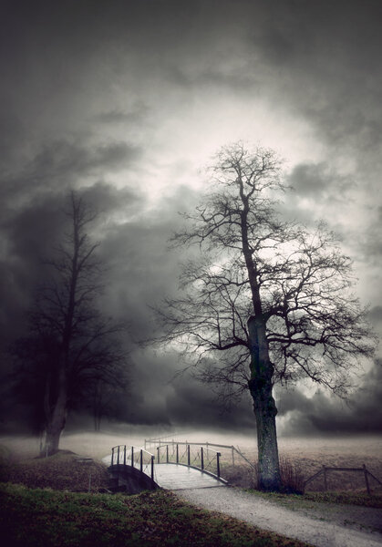 Мрачный осенний пейзаж
