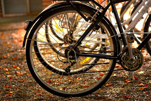 Wheel of parked bike — Stock Photo, Image