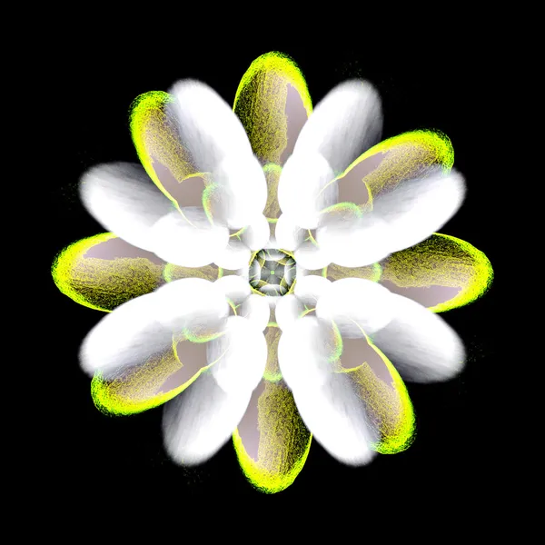 Padrão floral abstrato — Fotografia de Stock