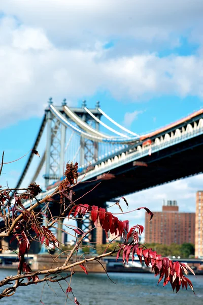 Manhattan bridge — Zdjęcie stockowe