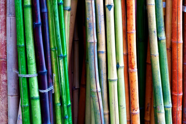 Colorful bamboo — Stock Photo, Image