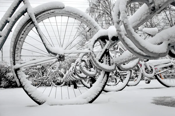 Bikes in rack in winter — Stock Photo, Image