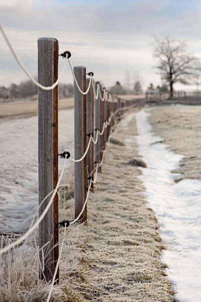 Fence in winter
